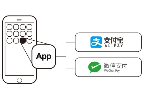 In-App SDK Solution with Alipay and WeChat Pay integration